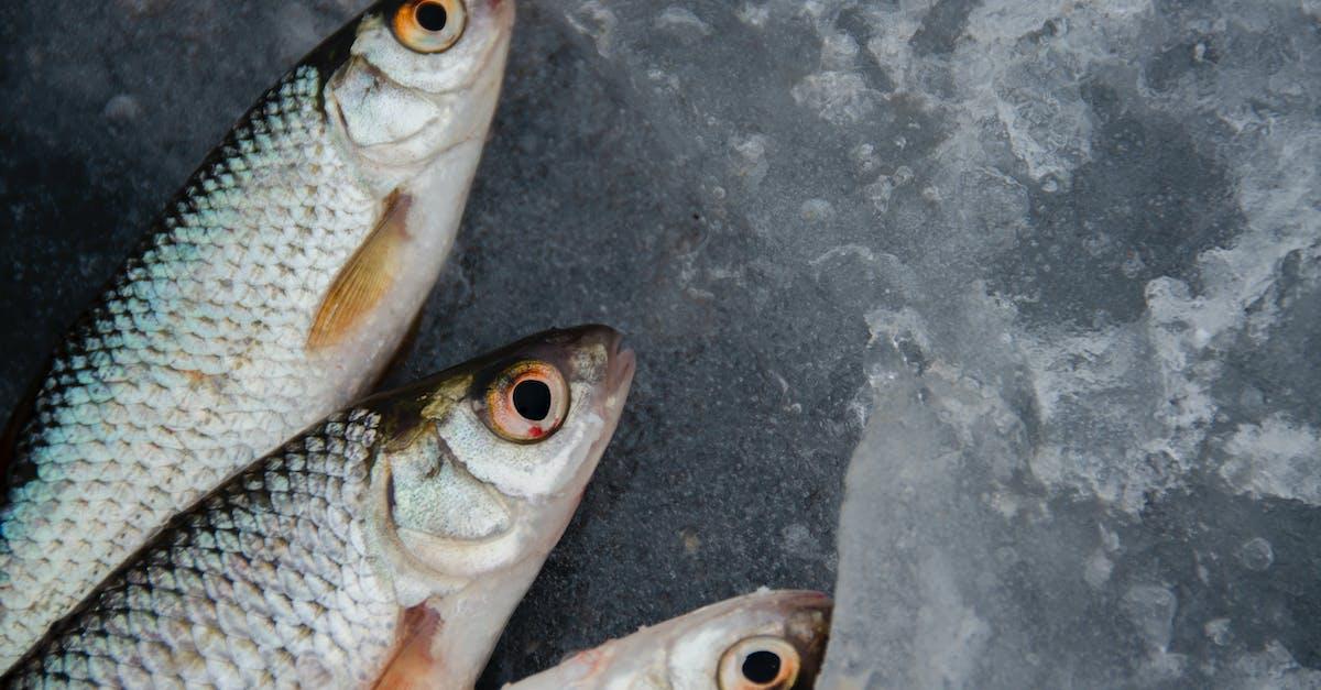 Fiskekasse: Din Praktiske Løsning til Frisk Fisk Leveret til Døren